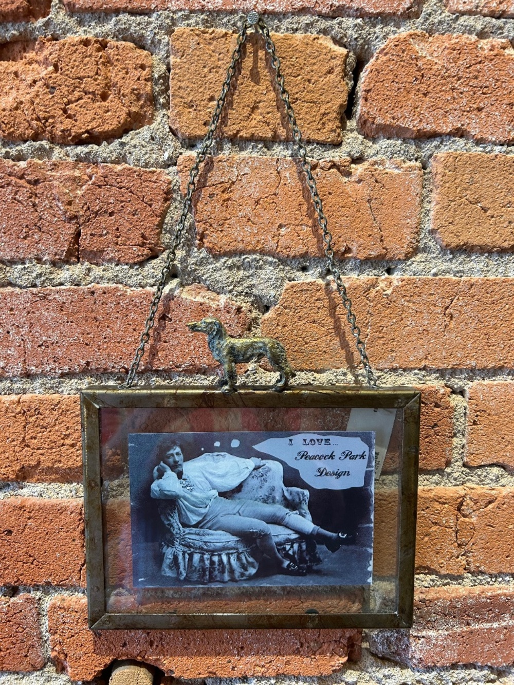 Glass and metal dog frame